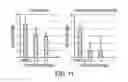 Fig. 12 - Composition with high antimicrobial activity and low toxicity