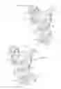 Fig. 08 - Meat processing equipment having improved yieldable arresting means
