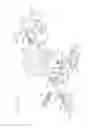 Fig. 09 - Meat processing equipment having improved yieldable arresting means