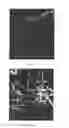 Fig. 04 - COMPOSITIONS OF PARTICULATE COFORMULATION
