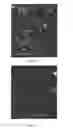 Fig. 10 - COMPOSITIONS OF PARTICULATE COFORMULATION