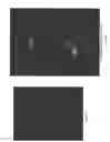 Fig. 16 - COMPOSITIONS OF PARTICULATE COFORMULATION
