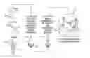 Fig. 01 - METHOD AND SYSTEM FOR MODIFYING RAW FOODS, AND RAW FOOD PRODUCT MADE THEREBY