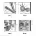 Fig. 05 - METHOD AND SYSTEM FOR MODIFYING RAW FOODS, AND RAW FOOD PRODUCT MADE THEREBY