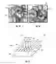 Fig. 06 - METHOD AND SYSTEM FOR MODIFYING RAW FOODS, AND RAW FOOD PRODUCT MADE THEREBY