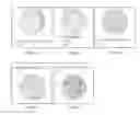 Fig. 02 - Process for producing N-propanol and propionic acid using metabolically engineered propionibacteria