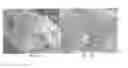 Fig. 09 - Process for producing N-propanol and propionic acid using metabolically engineered propionibacteria