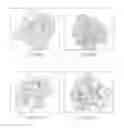 Fig. 13 - Process for producing N-propanol and propionic acid using metabolically engineered propionibacteria
