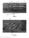Fig. 03 - Shed for curing and drying of tobacco and development and production of seedlings