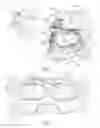 Fig. 02 - Helmet visor