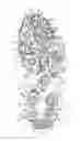 Fig. 01 - Golf shoe outsoles