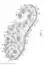 Fig. 02 - Golf shoe outsoles