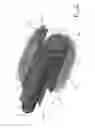 Fig. 03 - COLLAPSIBLE APPLICATOR WITH HINGE