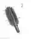 Fig. 07 - COLLAPSIBLE APPLICATOR WITH HINGE