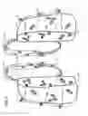 Fig. 04 - Convertible backpack