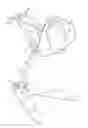 Fig. 01 - Magnetic ball joint for convertible stand/table