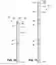 Fig. 09 - Bottle rack and kit for bottle-supporting assembly