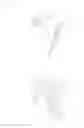 Fig. 25 - Headrest folding apparatus