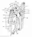 Fig. 01 - APPARATUS AND SYSTEM FOR TRANSPORTING AN ITEM
