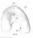 Fig. 06 - Configurable Body Pillow That Retains Multiple Shapes
