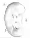 Fig. 07 - Configurable Body Pillow That Retains Multiple Shapes