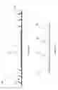 Fig. 10 - Seaming apparatus and method