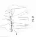 Fig. 14 - BATHING AREA ACCESSORIES
