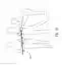 Fig. 14 - Bathing area accessories
