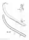 Fig. 06 - Endotracheal intubation devices