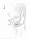 Fig. 09 - Endotracheal intubation devices