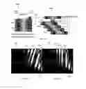 Fig. 11 - Optical imaging device and method for imaging a sample