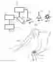 Fig. 01 - System and method for determining vital sign information of a subject