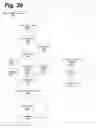 Fig. 40 - Apparatus and method for improving psychophysiological function for performance under stress