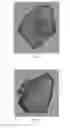 Fig. 08 - NEURONAL IMAGING AND TREATMENT