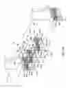 Fig. 07 - METHOD, APPARATUS AND SYSTEM FOR COMPLETE EXAMINATION OF TISSUE WITH HAND-HELD IMAGING DEVICES HAVING MOUNTED CAMERAS
