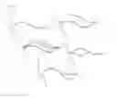 Fig. 05 - Suture thread