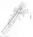 Fig. 19 - Suture passing