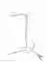 Fig. 01 - Anvil assembly delivery systems
