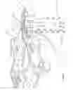 Fig. 08 - Resiliant spinal plate system