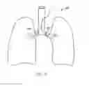 Fig. 08 - System and method for bronchial dilation