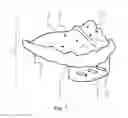 Fig. 02 - INTRAORAL DEVICE FOR IMPROVING PHYSICAL BALANCE