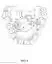 Fig. 08 - Orthodontic correction device