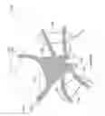 Fig. 20 - Pelvic floor repair system