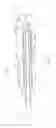 Fig. 08 - Balloon catheter for multiple adjustable stent deployment