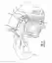 Fig. 07 - System and method for treatment of non-ventilating middle ear by providing a gas pathway through the nasopharynx
