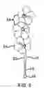 Fig. 04 - Scalp Scratching Assembly