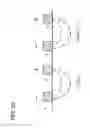 Fig. 22 - Virginal rejuvenation apparatus and method