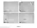 Fig. 04 - NRF2 Screening Assays and Related Methods and Compositions
