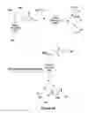Fig. 07 - Nanoparticles containing a Taxane and their Use