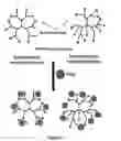 Fig. 09 - Nanoparticles containing a Taxane and their Use
